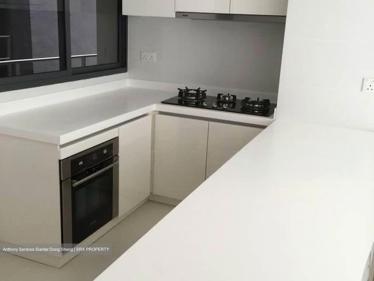 Sky Green (D13), Condominium #583848731